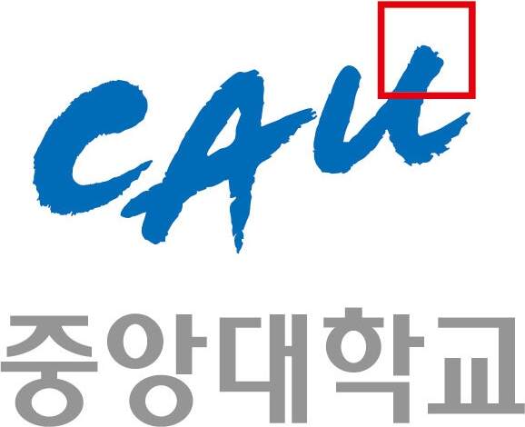 중앙대학교 로고